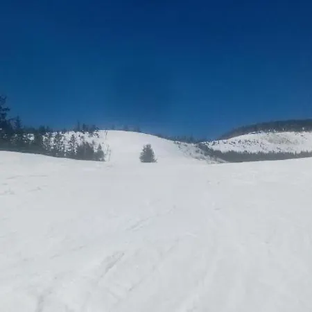 Michaela Lantställe *